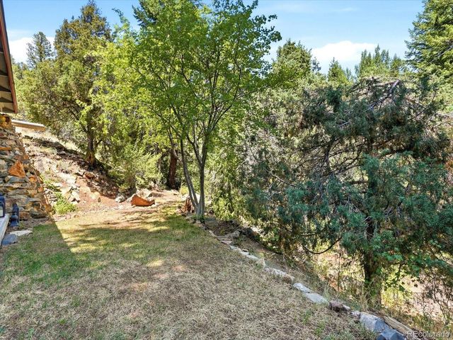 410 E Idaho Springs Road, Idaho Springs, CO 80452