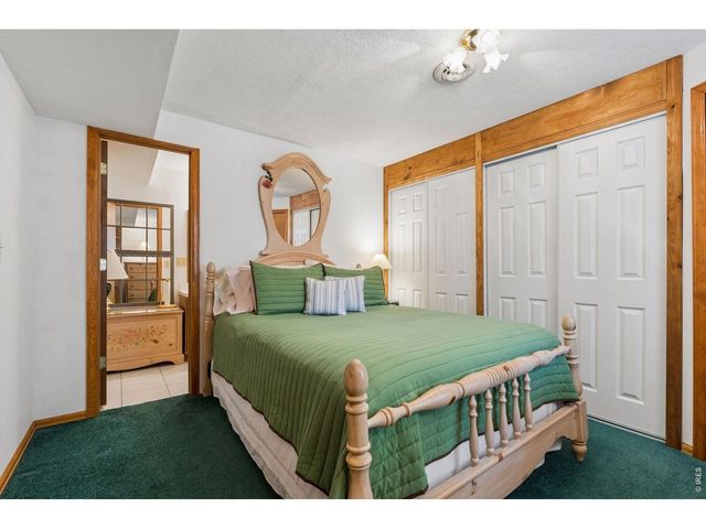 225 Hell Canyon Rd, Estes Park, CO 80517