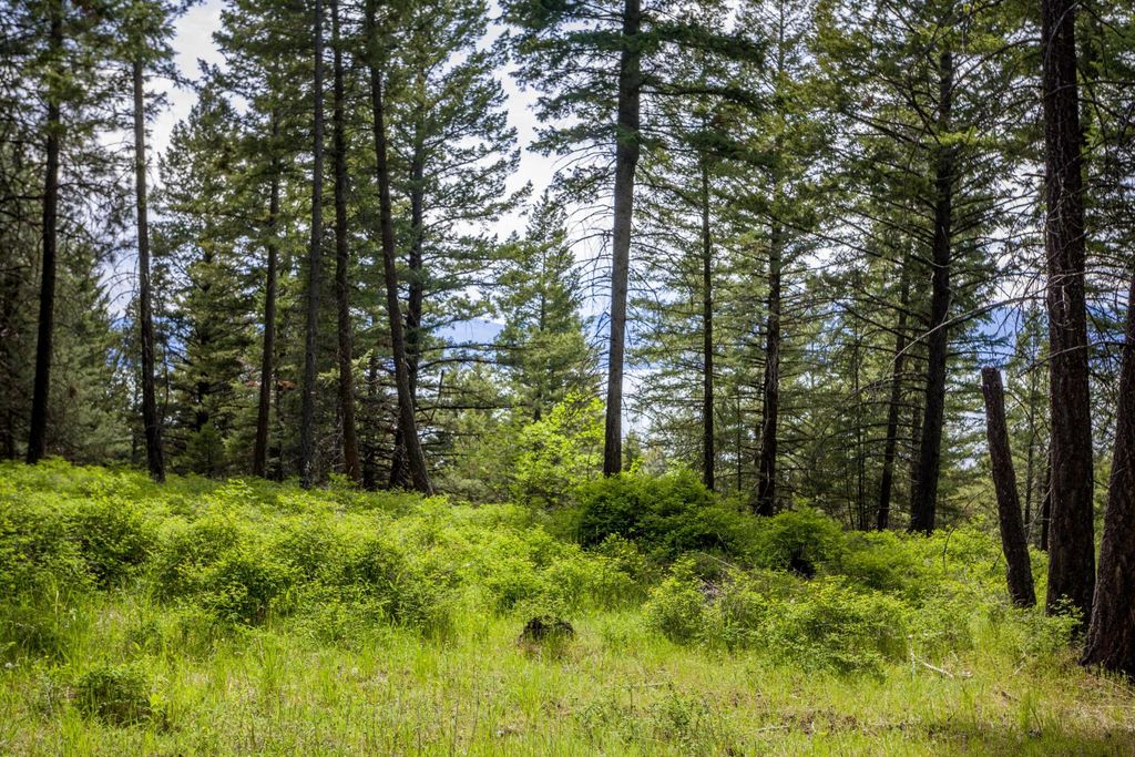 28 Doubletree Drive, Bigfork, MT 59911 photo 10