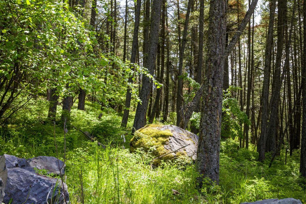 28 Doubletree Drive, Bigfork, MT 59911 photo 15