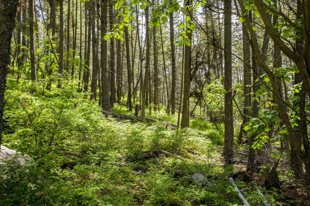 28 Doubletree Drive, Bigfork, MT 59911 photo 16