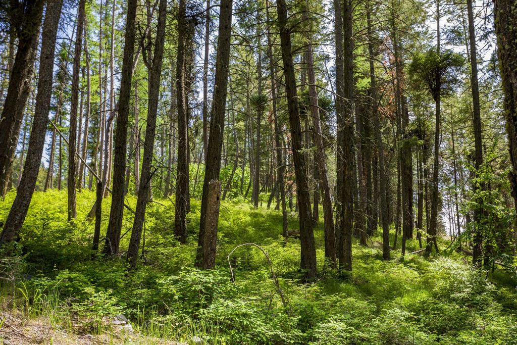 28 Doubletree Drive, Bigfork, MT 59911 photo 17