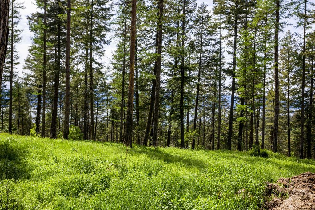 28 Doubletree Drive, Bigfork, MT 59911 photo 18