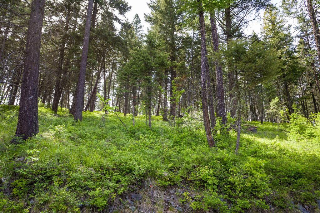 28 Doubletree Drive, Bigfork, MT 59911 photo 19