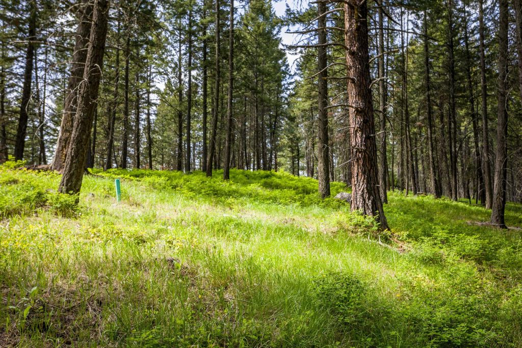 28 Doubletree Drive, Bigfork, MT 59911 photo 20