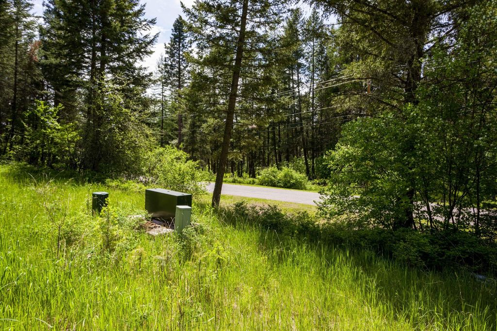 28 Doubletree Drive, Bigfork, MT 59911 photo 21