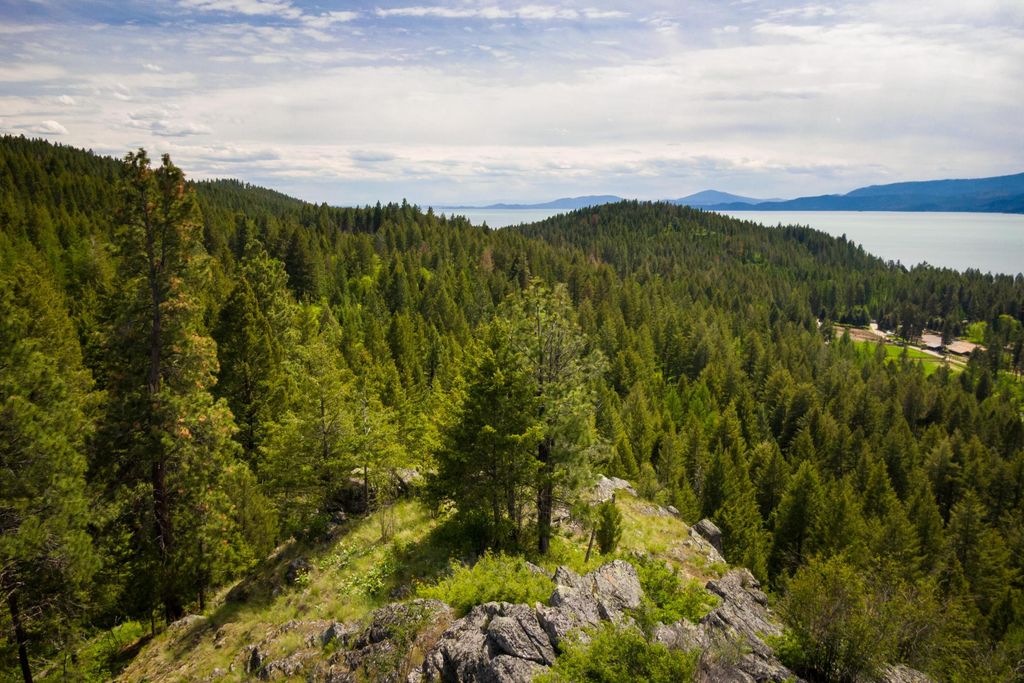 28 Doubletree Drive, Bigfork, MT 59911 photo 25