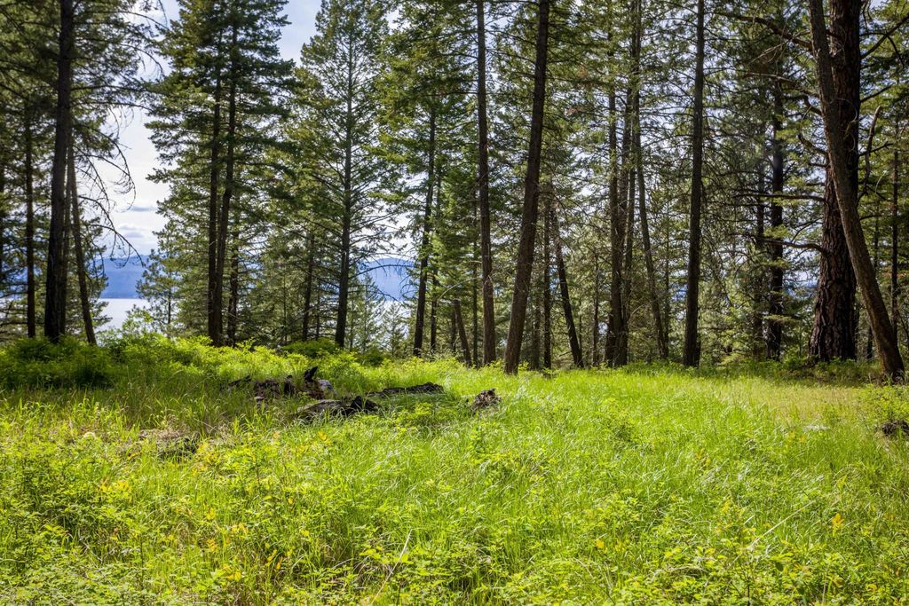 28 Doubletree Drive, Bigfork, MT 59911 photo 3