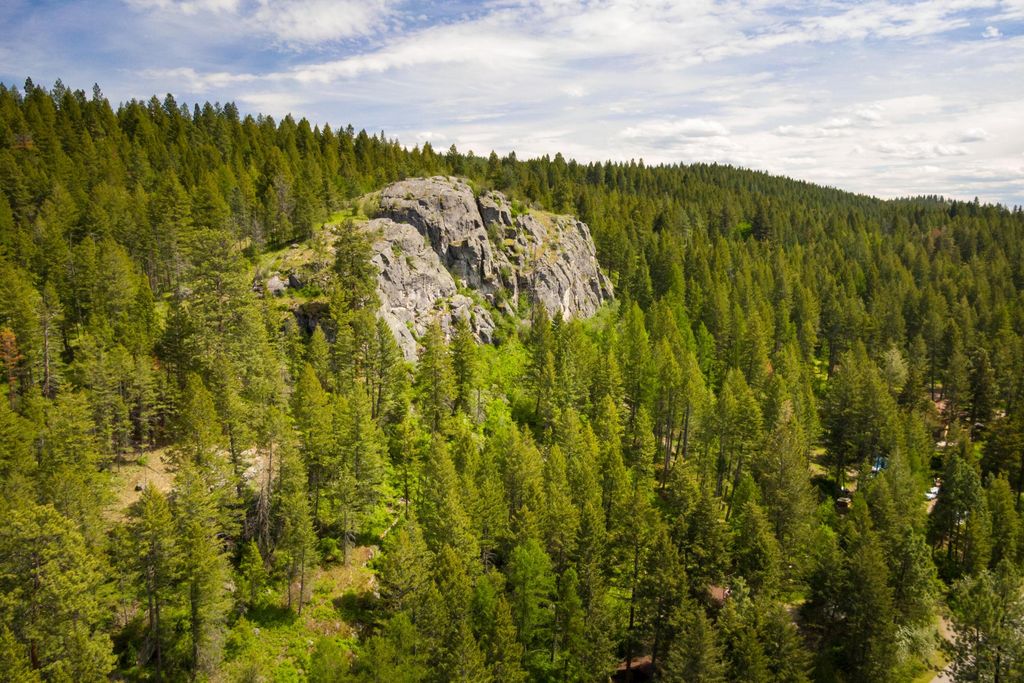 28 Doubletree Drive, Bigfork, MT 59911 photo 5