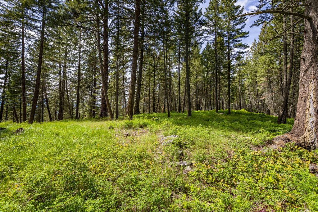 28 Doubletree Drive, Bigfork, MT 59911 photo 9