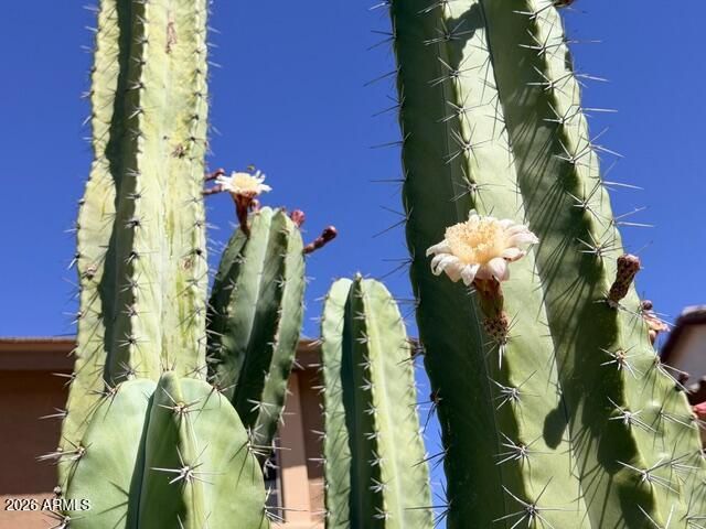 2798 E TEAKWOOD Place, Chandler, AZ 85249