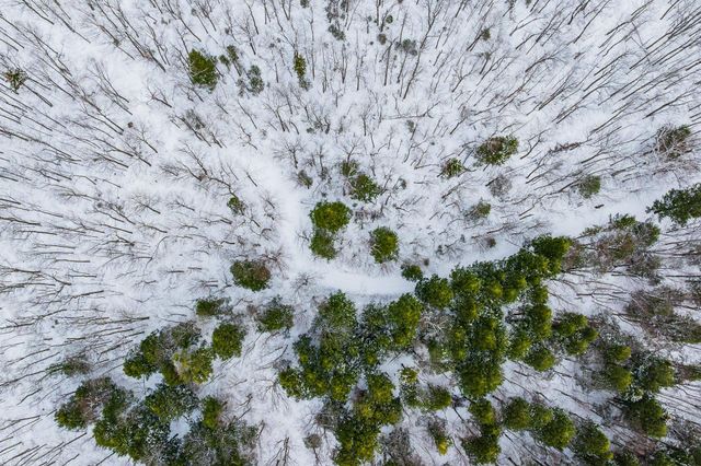 557 Trager Road, Jamaica, VT 05343