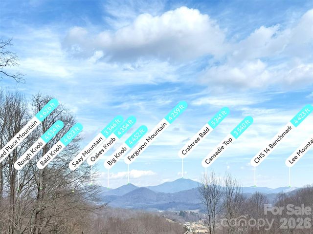 122 Vinewood Drive, Waynesville, NC 28786