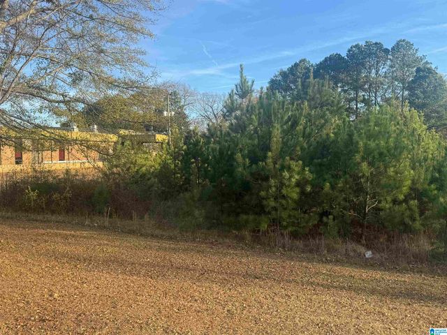 0 HIGHWAY 78 W, Oxford, AL 36203