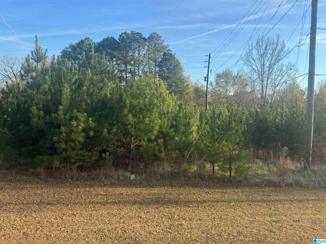 0 HIGHWAY 78 W, Oxford, AL 36203