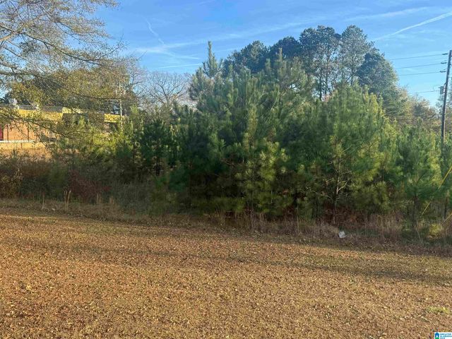 0 HIGHWAY 78 W, Oxford, AL 36203