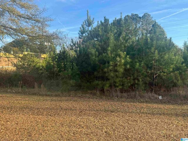 0 HIGHWAY 78 W, Oxford, AL 36203