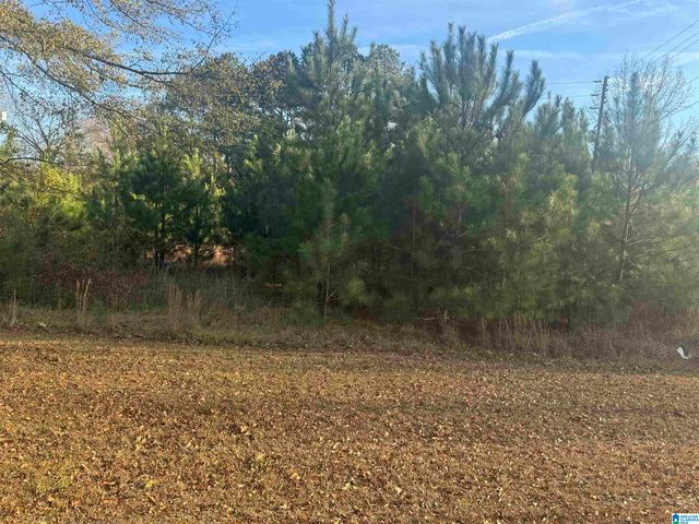 0 HIGHWAY 78 W, Oxford, AL 36203