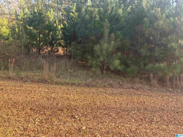 0 HIGHWAY 78 W, Oxford, AL 36203