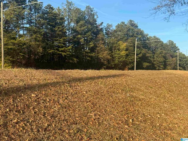 0 HIGHWAY 78 W, Oxford, AL 36203