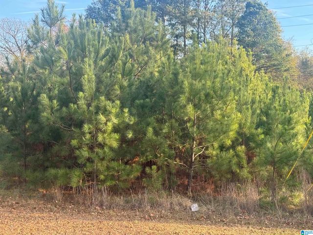 0 HIGHWAY 78 W, Oxford, AL 36203