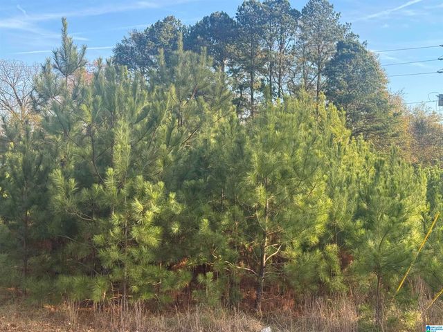 0 HIGHWAY 78 W, Oxford, AL 36203