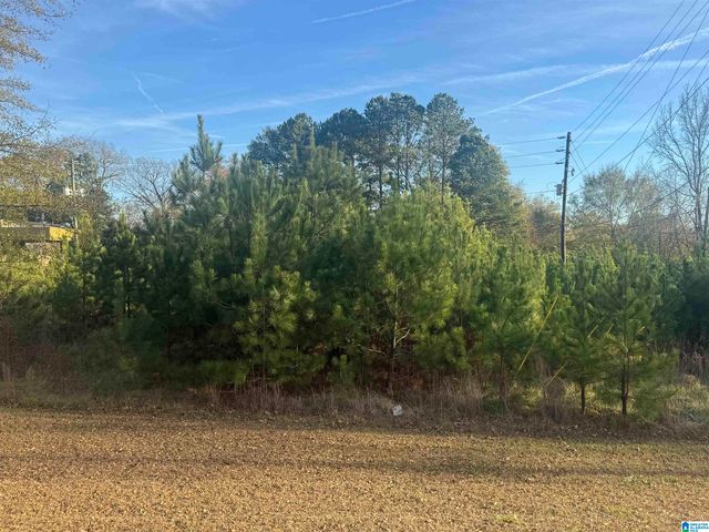 0 HIGHWAY 78 W, Oxford, AL 36203