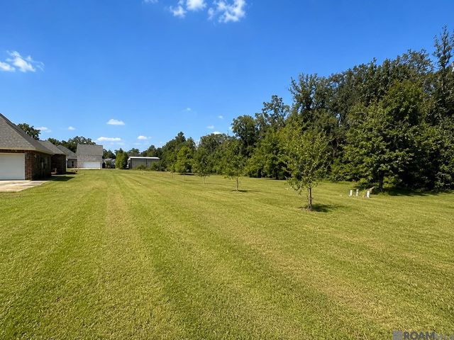 10234 Harrell Ln, Denham Springs, LA 70726
