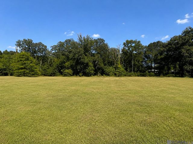 10234 Harrell Ln, Denham Springs, LA 70726