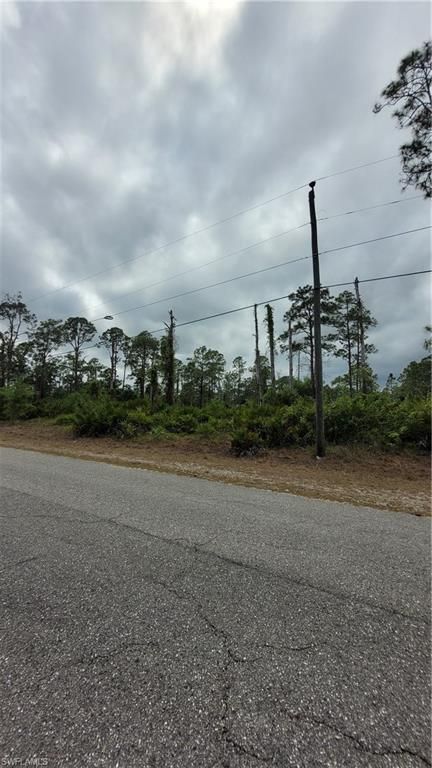 1003 Louis AVE, LEHIGH ACRES, FL 33392 — exterior