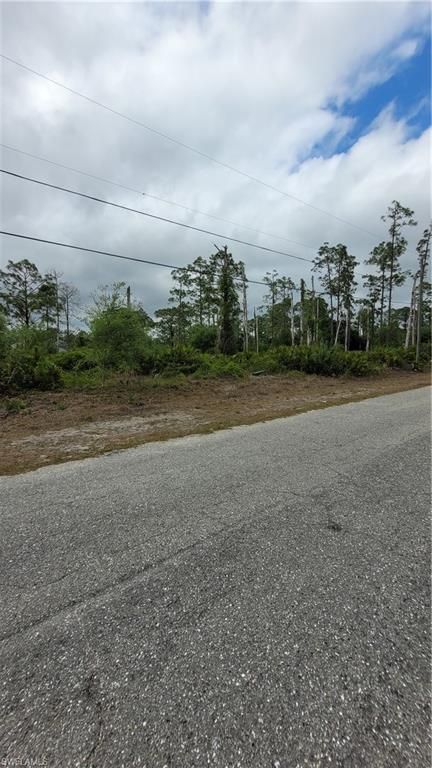 1003 Louis AVE, LEHIGH ACRES, FL 33392 — photo 2