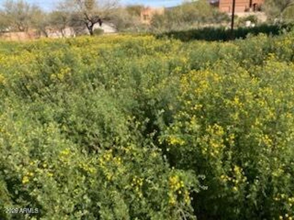 45427 N 14th Street A, New River, AZ 85087 — exterior
