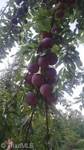 3391 Asbury Road, Mount Airy, NC 27030