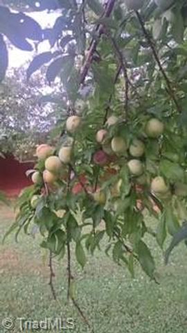 3391 Asbury Road, Mount Airy, NC 27030