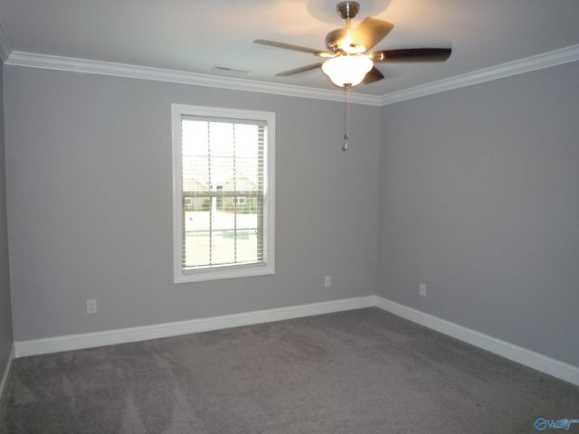 13205 Hill Crest Drive, Athens, AL 35613