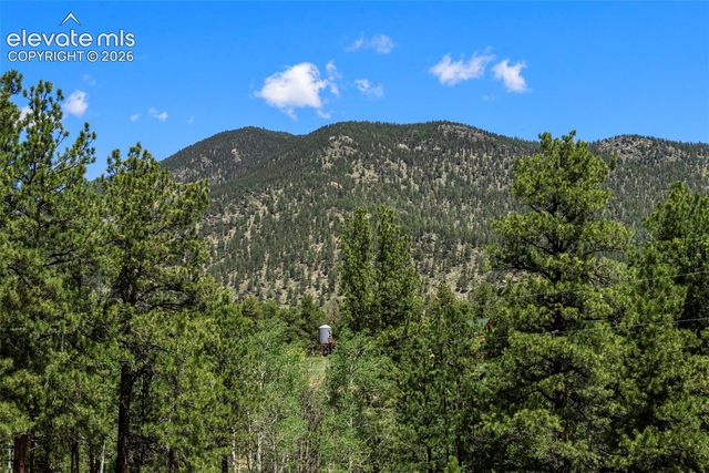 546 Pulver Road, Lake George, CO 80827