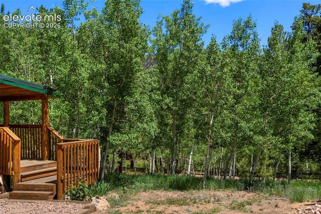 546 Pulver Road, Lake George, CO 80827