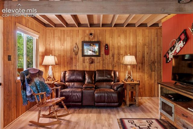 546 Pulver Road, Lake George, CO 80827