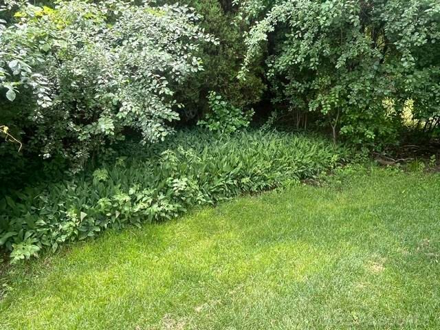 2188 Zenia Drive, Troy, MI 48083