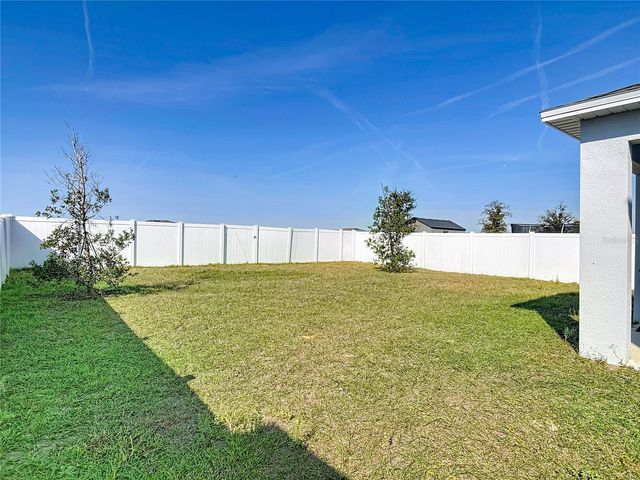 1146 CALICO POINTE CIRCLE, Groveland, FL 34736