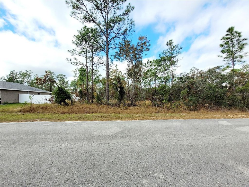 SW WINDING HILLS ROAD, Dunnellon, FL 34431