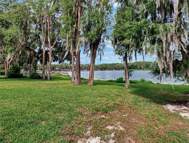 16110 ARMISTEAD LANE, Odessa, FL 33556