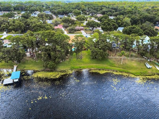 16110 ARMISTEAD LANE, Odessa, FL 33556