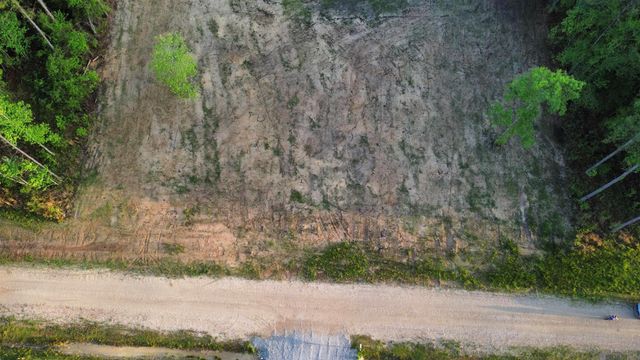 21154 Butterbean Ridge, Livingston, LA 70754