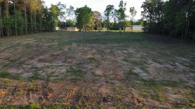 21154 Butterbean Ridge, Livingston, LA 70754