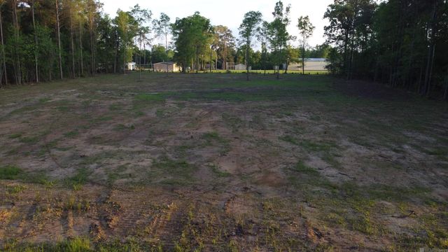 21154 Butterbean Ridge, Livingston, LA 70754
