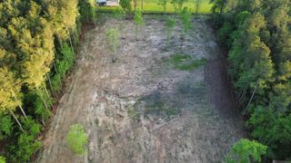 21154 Butterbean Ridge, Livingston, LA 70754