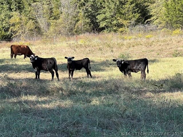 5804 Samuel Road, Kingston, OK 73439