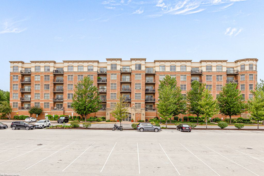 9530 S COOK Avenue 412, Oak Lawn, IL 60453