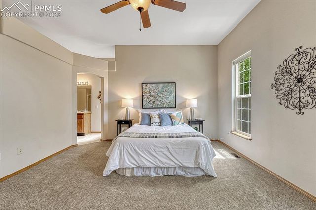 4601 Rowell Point, Colorado Springs, CO 80923